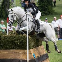 Allie Sacksen's profile image