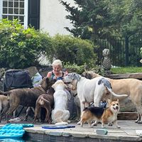 Maureen Scheirer's profile image