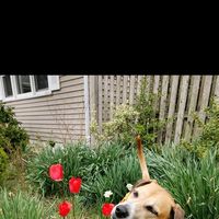 Nicole Escobar's profile image