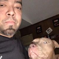 Daniel Leal's profile image