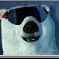 Bear Aguilera's profile image