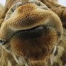 Hunter's profile image