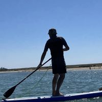 Steve Burgoine's profile image
