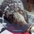 Kevin Mayer's profile image