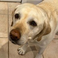 Birdy Jones's profile image