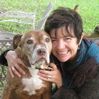 Susan Cecille Dayton's profile image