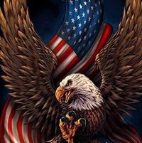 Tom Sforza's profile image