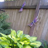 Julie Leitz's profile image