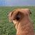 Andrew Hayden's profile image
