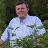 sir Steve's profile image