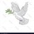 Carolyn Doucette's profile image