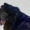 Betty L.'s profile image