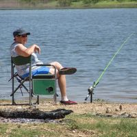 Burma Brummitt's profile image