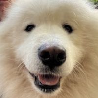 Jason Shulmeister's profile image