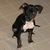 Mary Tacon's profile image