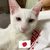 Kou Hirata's profile image