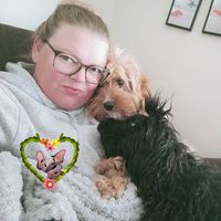 Christine Brown Donoghue's profile image