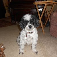 Mary Ann Rudolph's profile image