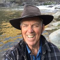 Wayne Whalen's profile image