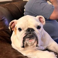 Teresa Salazar's profile image