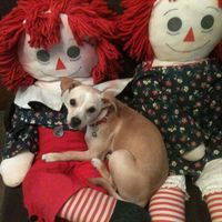 Mary Denmark's profile image