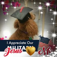 Glenda Wilson's profile image