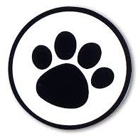 JJ Squared's profile image