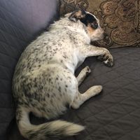 Annette Frost Cherry's profile image