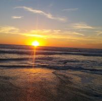 Elizabeth Martinez's profile image
