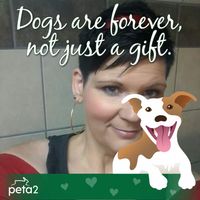 Kim Rizer's profile image