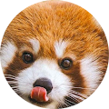 user-pic