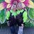 Bonnie Narcisse's profile image