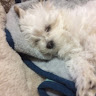 Marti C.'s profile image