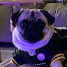 Robinson's profile image