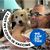 Greg Ellis's profile image