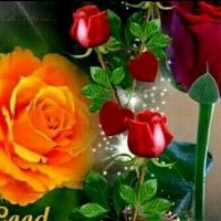 Dharmendra Sharma's profile image