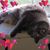 Roni Lucille's profile image