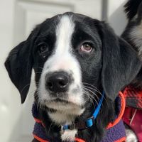 Oscar Im's profile image
