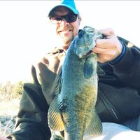 Les Claypool's profile image