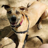 Ehunt0215's profile image