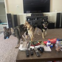 Robert Matheny's profile image