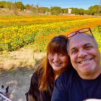 Robert Brown's profile image