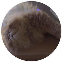 Francesca Athruz's profile image
