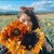 Rachael Smith's profile image