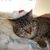 Nancy M.'s profile image