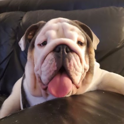 Corey Rader's profile image
