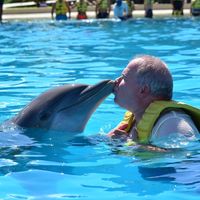 Jerry Rumskas's profile image