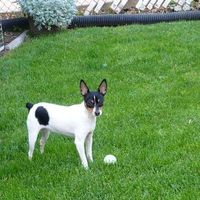 Bella Lage's profile image