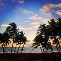 Jenna Starnes's profile image