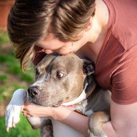 Shelby Hall's profile image